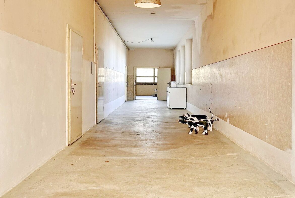Long empty hallway with beige walls; a cluster of plush toy dogs lies near the right wall at the foreground.