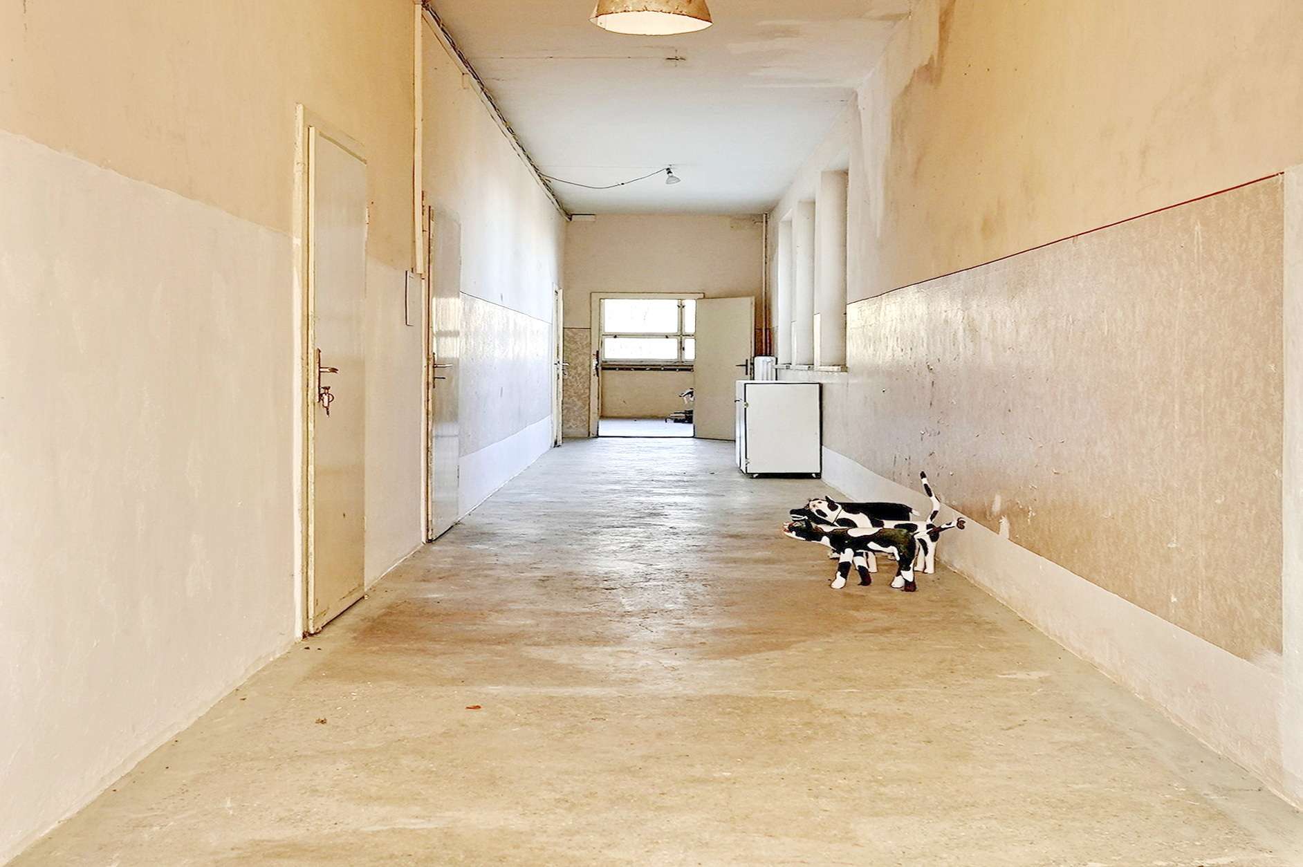 Long empty hallway with beige walls; a cluster of plush toy dogs lies near the right wall at the foreground.