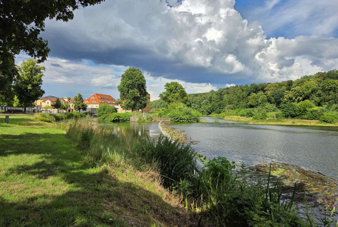 Riverside park scene with green grass, a calm river, and buildings with red-tiled roofs near trees under a cloudy sky.