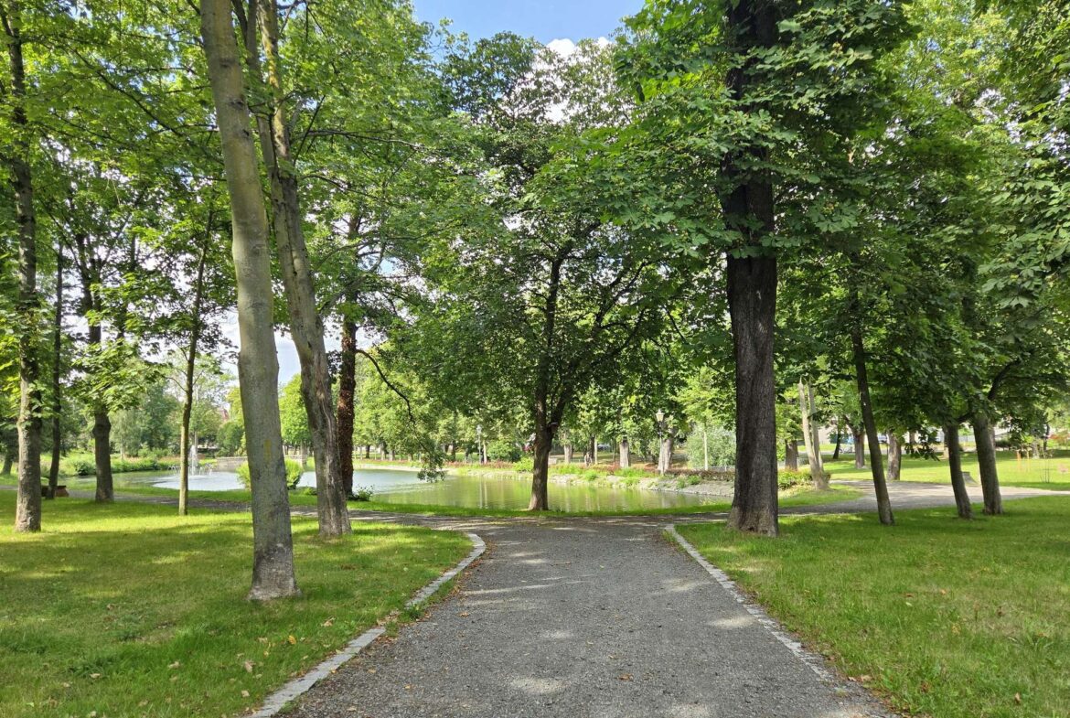 Gravel path through a tree-lined park with a pond in the background under a sunny sky