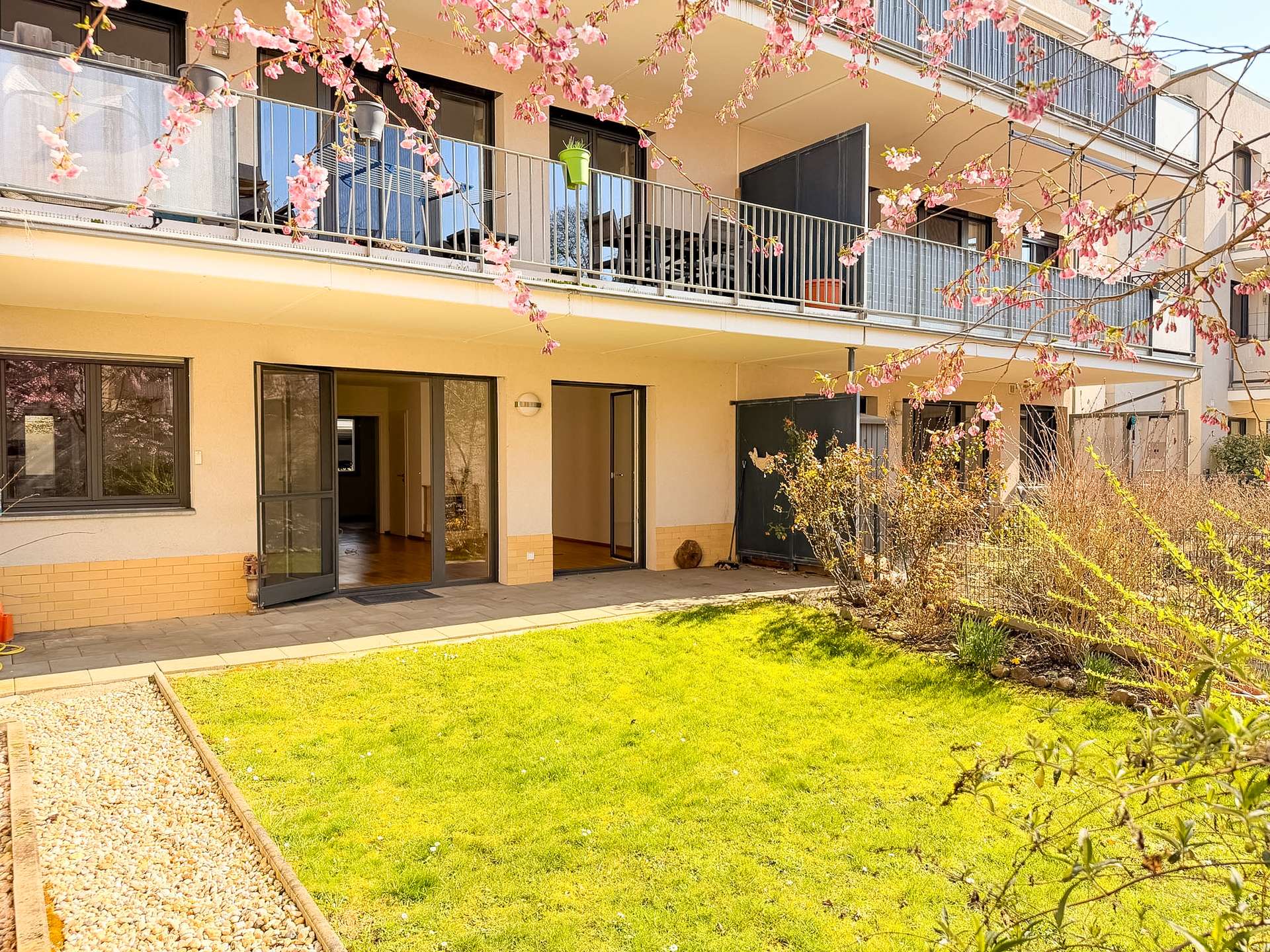 Ground-floor view of a modern apartment building with open glass doors, a grassy courtyard, and pink flowering branches in the foreground.