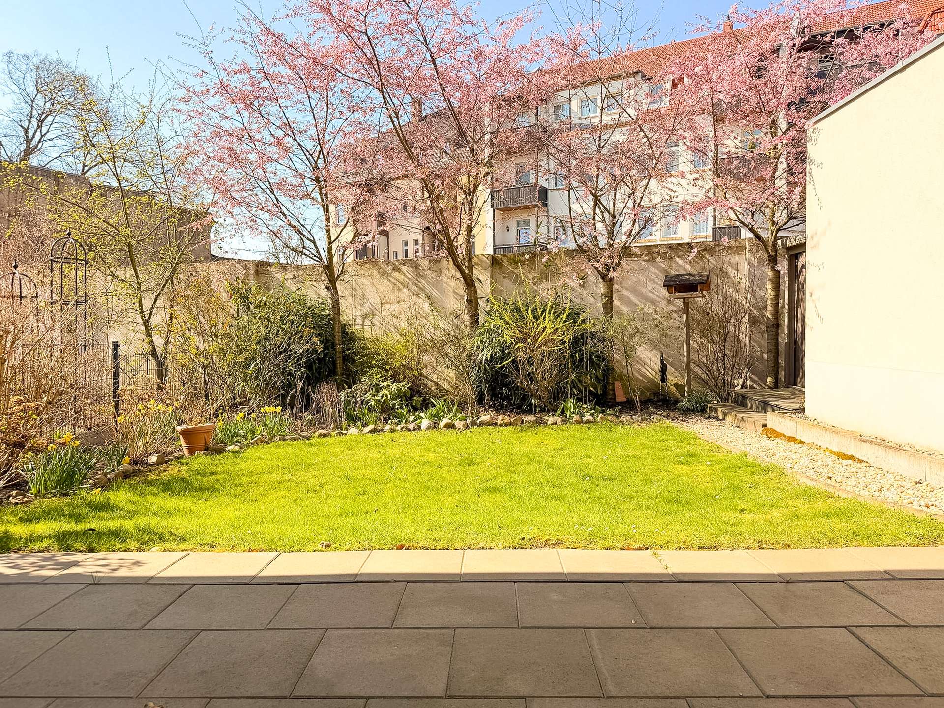 Courtyard garden with pink blossom trees and a green lawn, with a beige apartment building in the background.