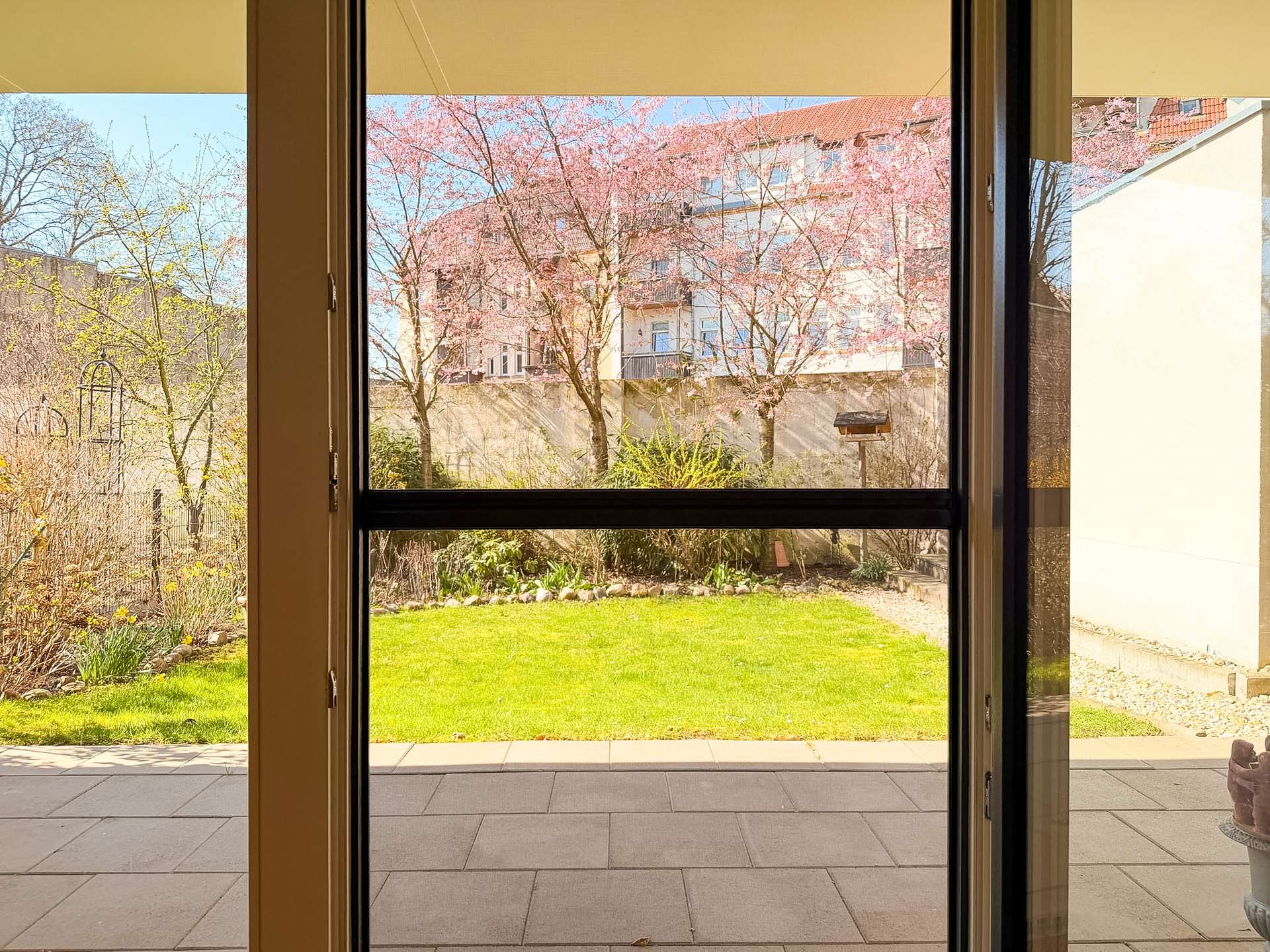 View through open glass doors onto a sunny courtyard with green lawn, pink blossom trees, and a multi-story building in the distance.