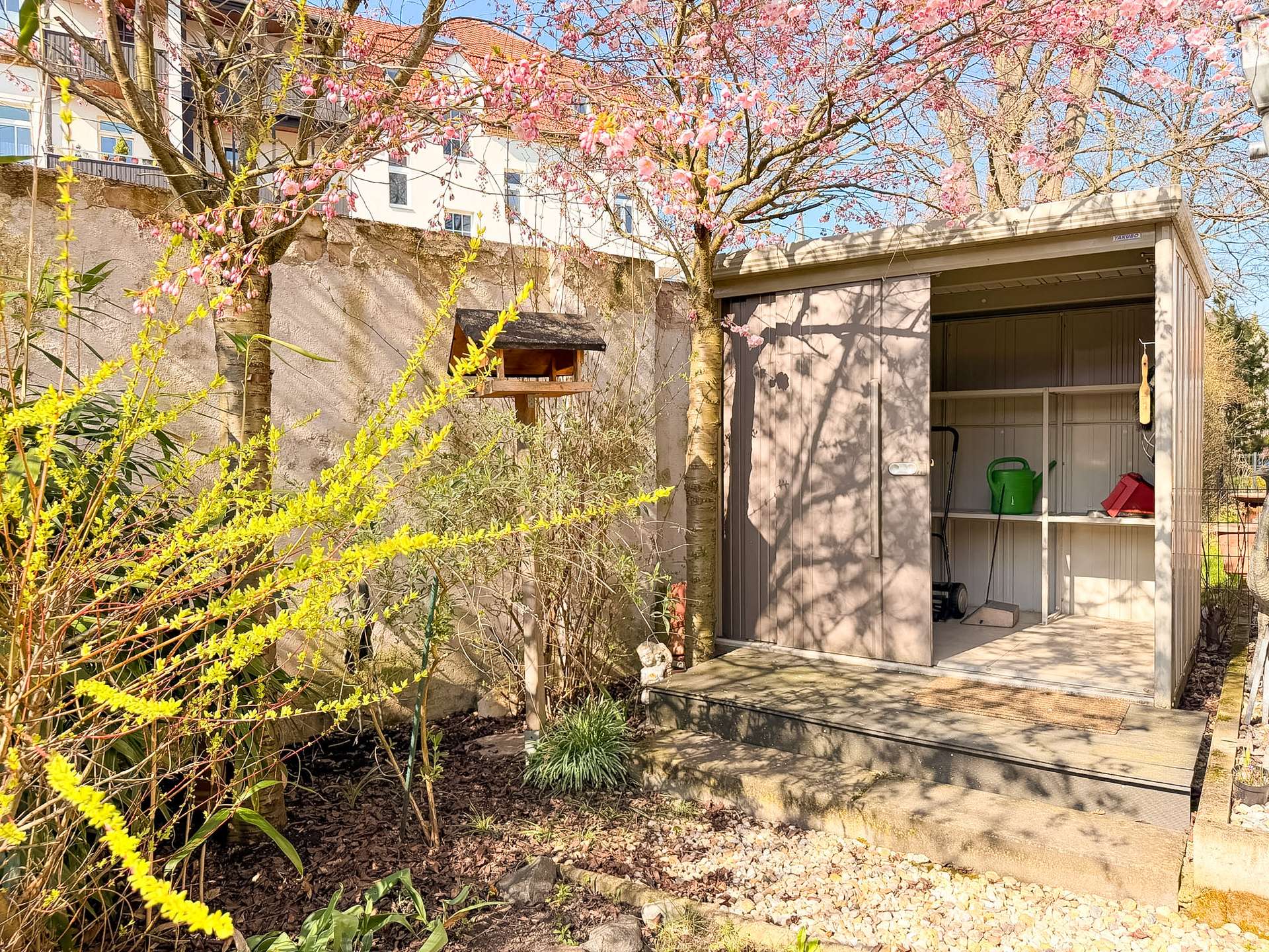 A backyard scene with a pink flowering tree, yellow flowering shrub in foreground, and a gray shed with open doors showing gardening tools inside. A bird feeder sits on a wooden post near the tree, and a gravel path runs along the yard.