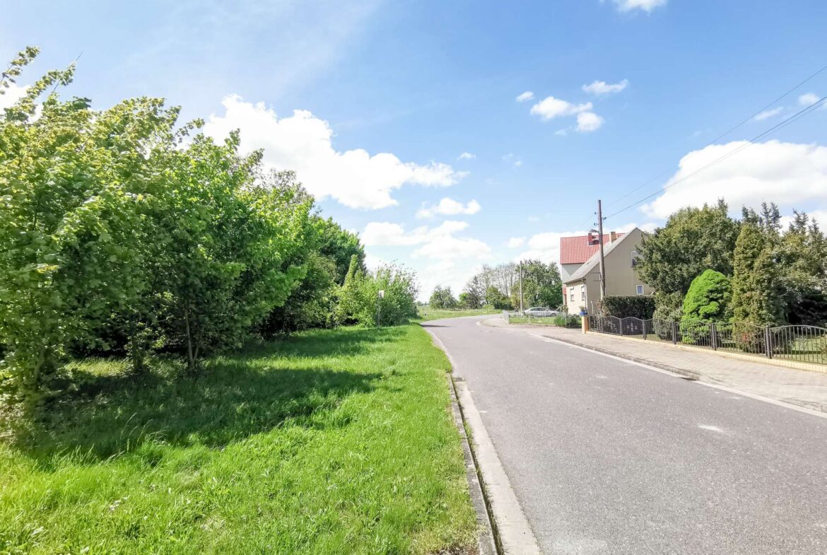 Tree-lined residential street on a sunny day, with a green verge on the left and houses on the right under a blue sky.