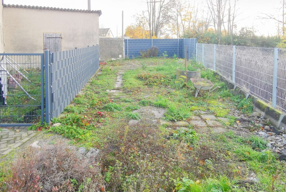 Backyard with blue metal fences on both sides, a stone path, and overgrown plants; wheelbarrow in the foreground.