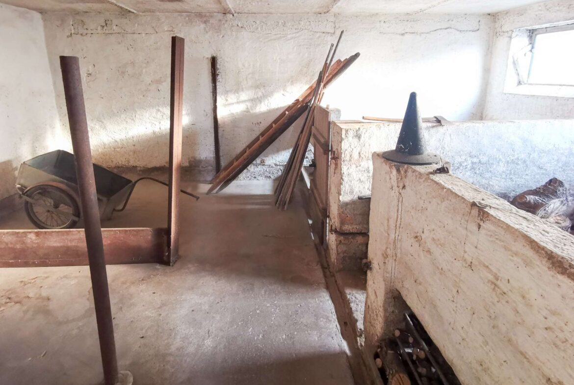 Dusty unfinished basement storage with a wheelbarrow, pile of wooden planks, and a conical object on a concrete ledge by a small window.