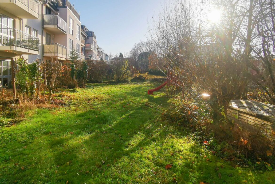 Apartment buildings line a grassy communal courtyard with leafless trees and bright sun to the right, creating lens flare.
