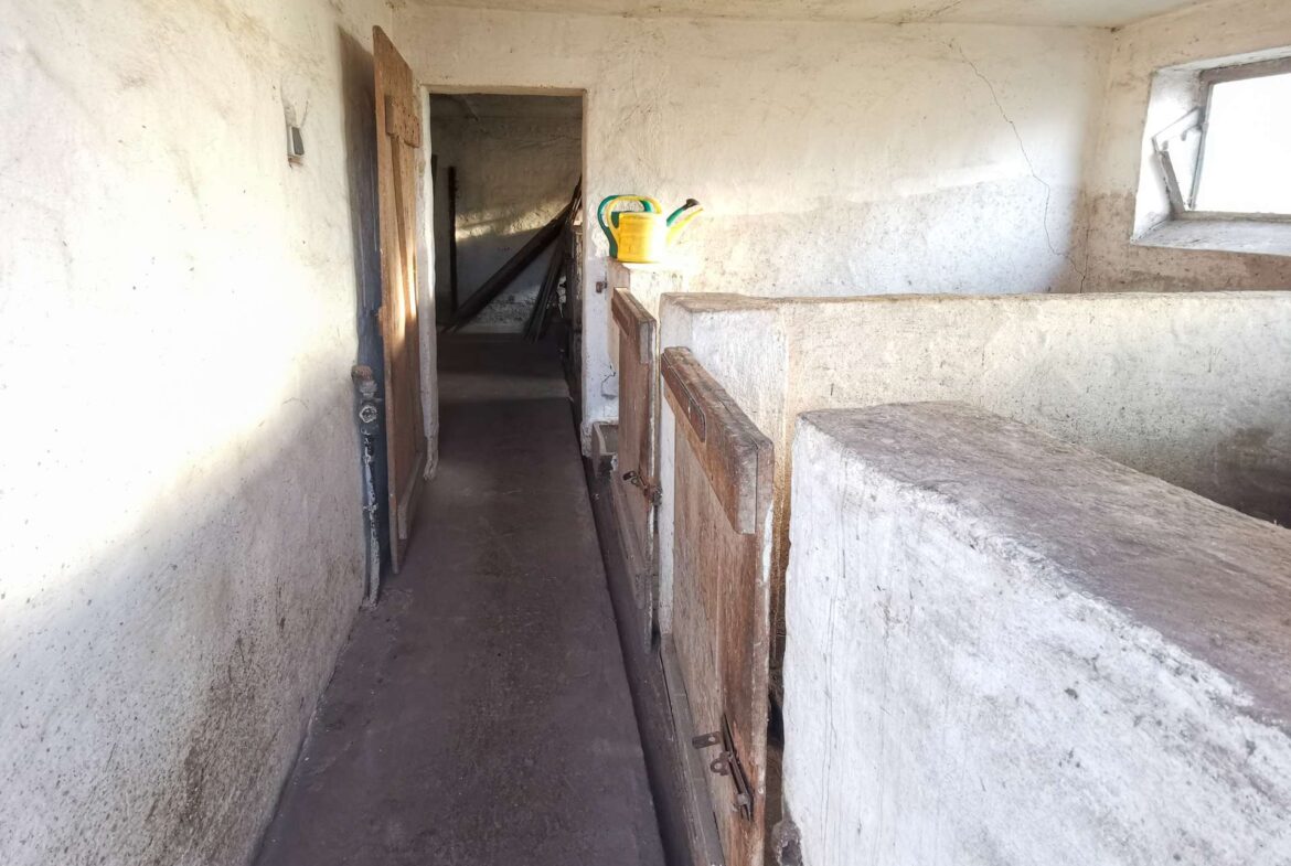 Indoor unfinished concrete hallway with a yellow watering can on a wooden railing and a doorway to a dark room on the left