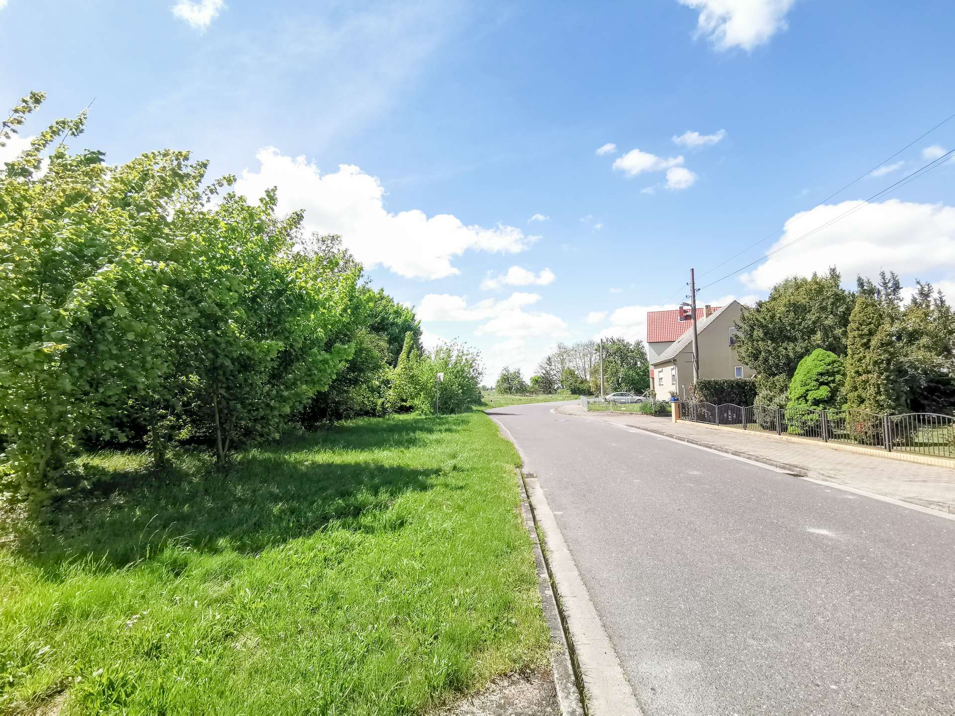 Suburban street with a grassy verge and dense trees on the left, houses and a fence on the right under a blue sky with scattered clouds