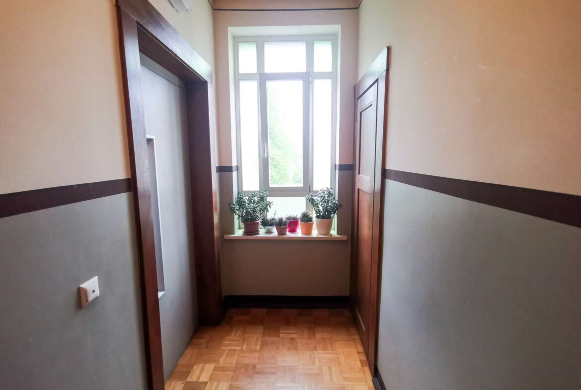 Narrow hallway ending with a bright window and several potted plants on the windowsill.
