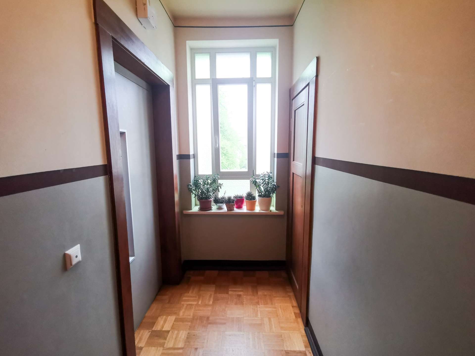 Narrow hallway ending with a bright window and several potted plants on the windowsill.