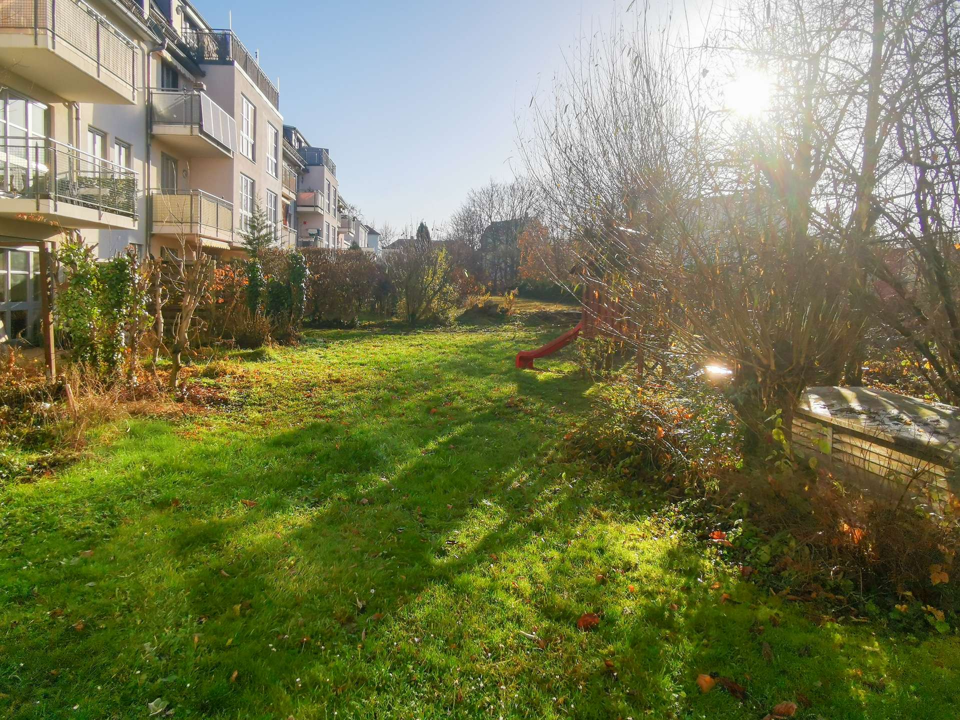Apartment building courtyard with grassy lawn and leafless trees; a red slide peeks from the right, sunlight streaming in from the trees.