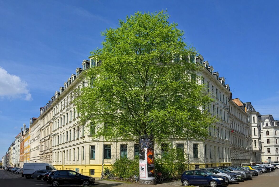 Corner white neoclassical building with many windows, a large leafy tree in front, blue sky, and parked cars along the street.