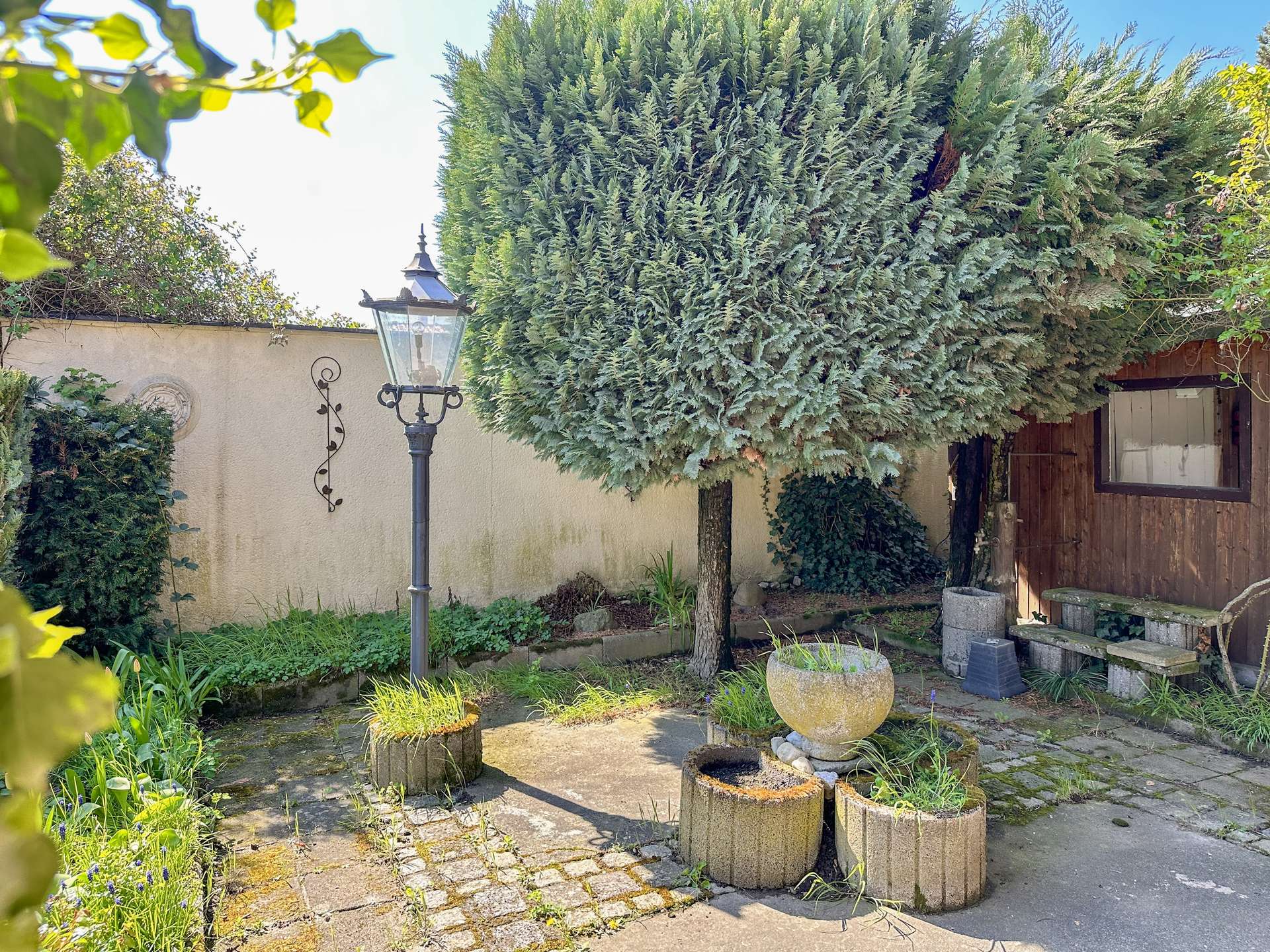 A courtyard with a tall evergreen tree, a vintage street lamp, and circular stone planters on a paved area near a white wall and wooden shed.