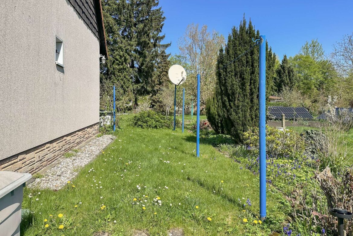 Backyard beside a beige house with a satellite dish on a blue post, green lawn, and scattered spring flowers with trees in the background as a sunny day scene.