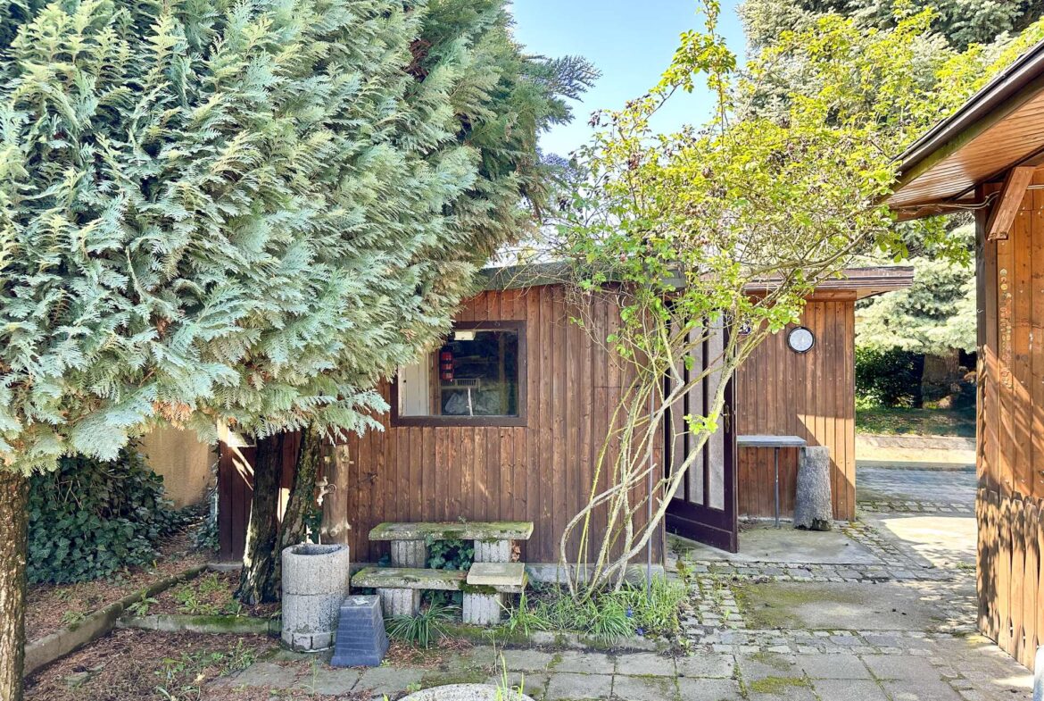 Wooden cabin with large evergreen shrub on left and a small tree in front, stone-paved yard and doorway on the right under a blue sky.