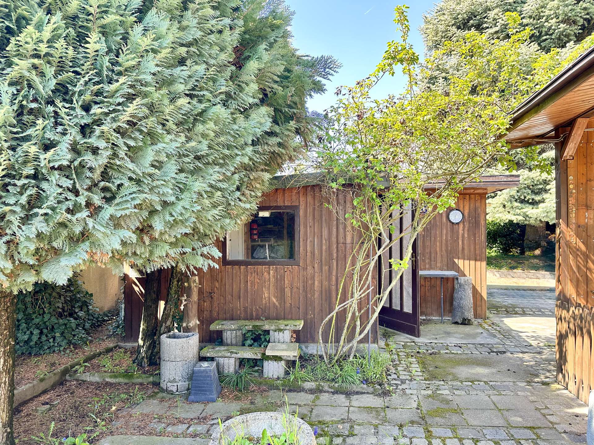 Wooden cabin with large evergreen shrub on left and a small tree in front, stone-paved yard and doorway on the right under a blue sky.