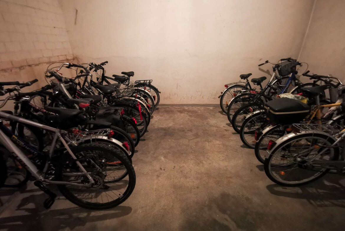 Indoor bike storage with two rows of bicycles parked along concrete walls in a dim basement setting, creating a narrow aisle between them.