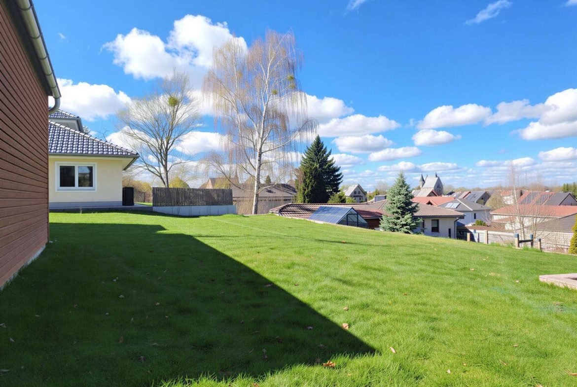Sunny suburban backyard with a green lawn, a left-side house wall, and distant rooftops under a blue sky with clouds.