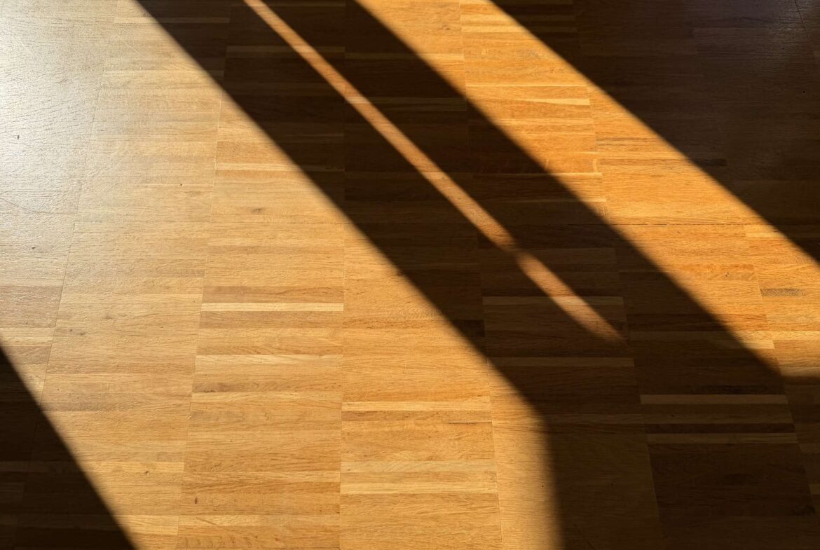 Sunlight casting diagonal shadows across a light wooden floor.