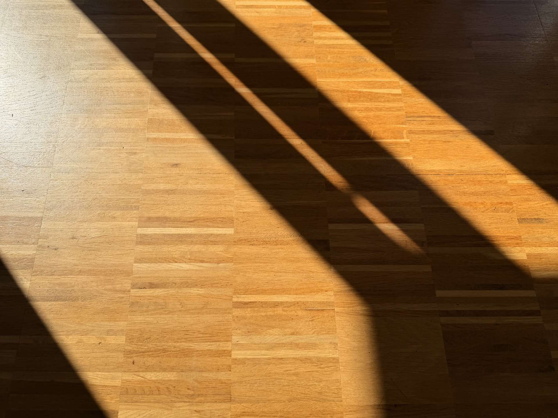 Sunlight casting diagonal shadows across a light wooden floor.