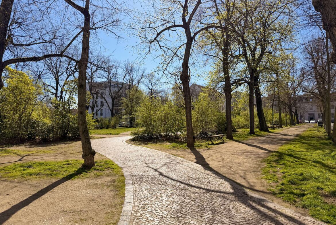 Winding cobblestone path through a park with leafless trees and a few benches, buildings in the background on a sunny day.