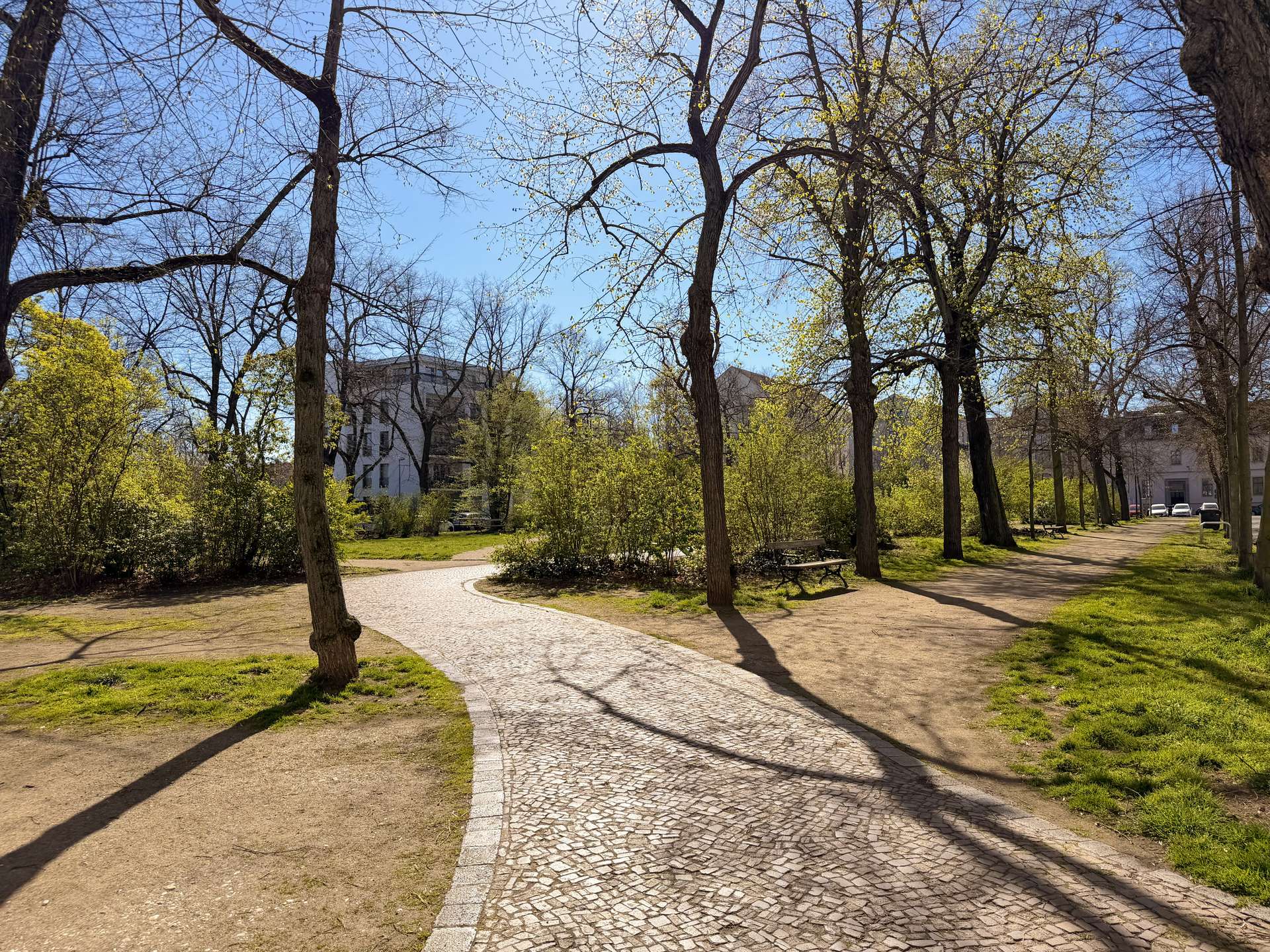 Winding cobblestone path through a park with leafless trees and a few benches, buildings in the background on a sunny day.