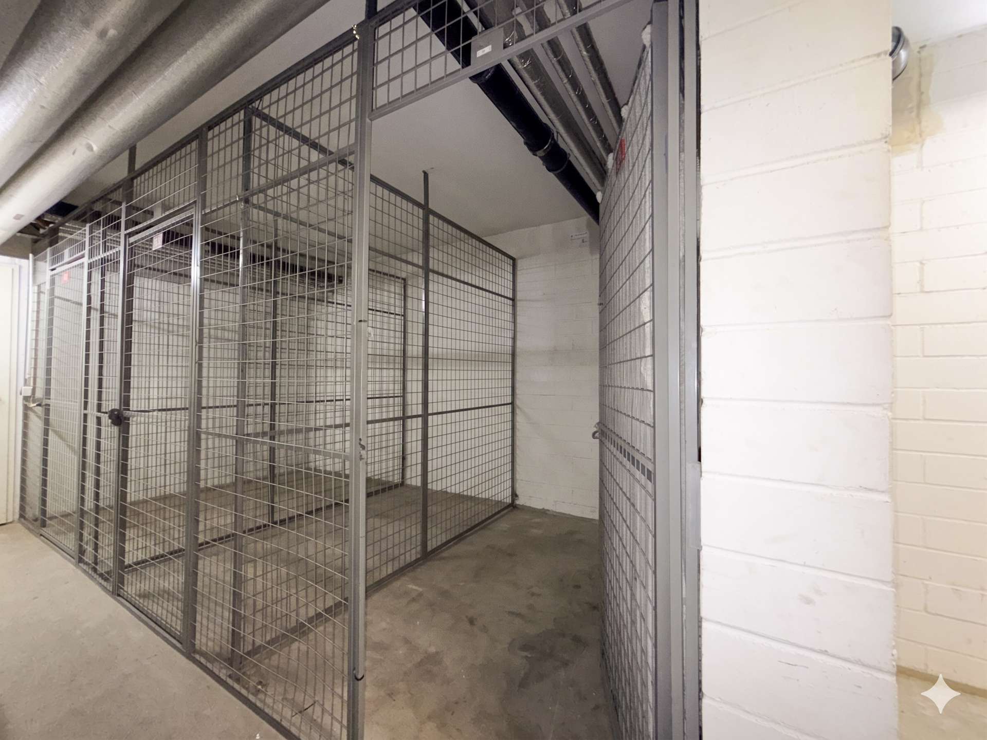 Industrial-style metal mesh cages/kennels in a hallway or storage area, with concrete floor and white cinder block walls.