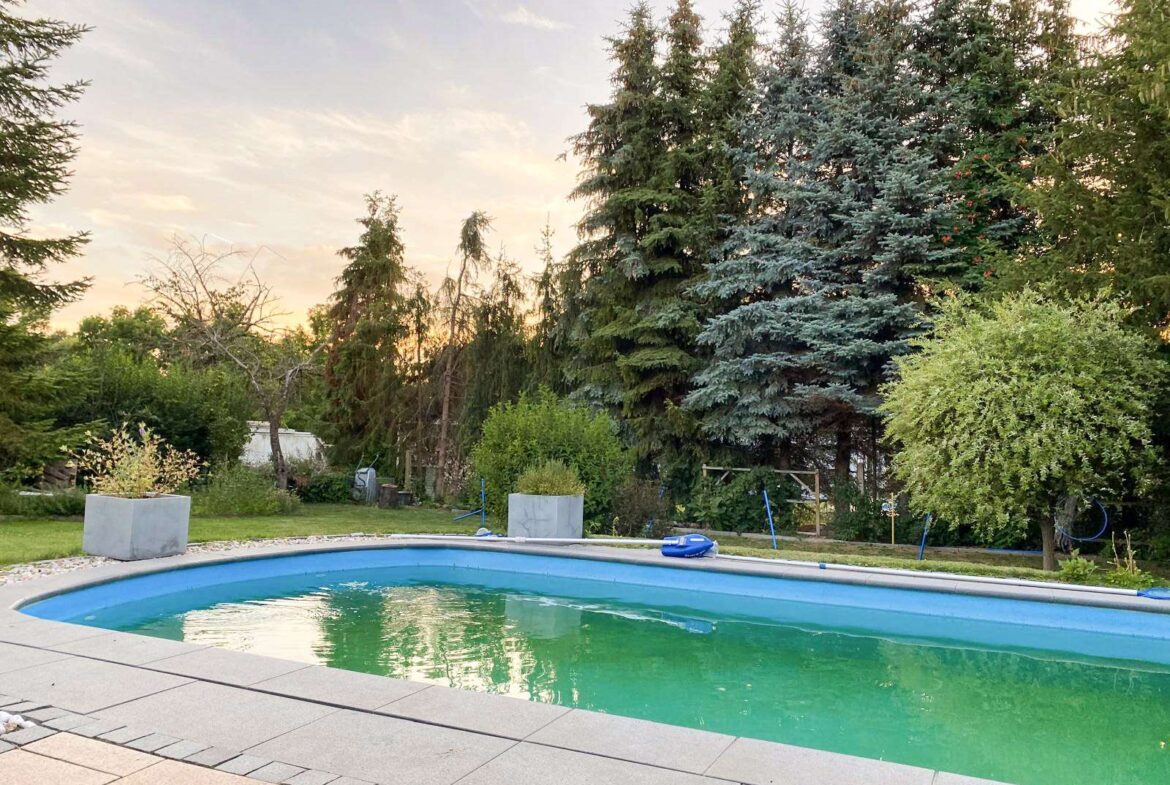 Sommerimpression Pool