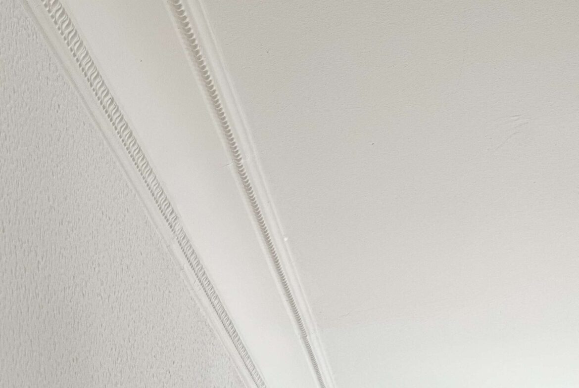 Close-up of a white decorative arch molding running along a wall edge, showing ribbed trim details