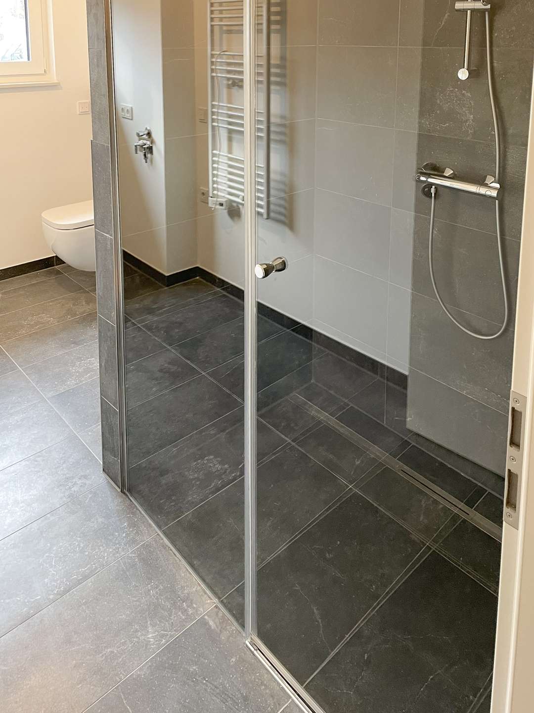 Modern bathroom featuring a glass shower enclosure with chrome hardware, dark gray floor and wall tiles, and a wall-mounted toilet visible in the background.