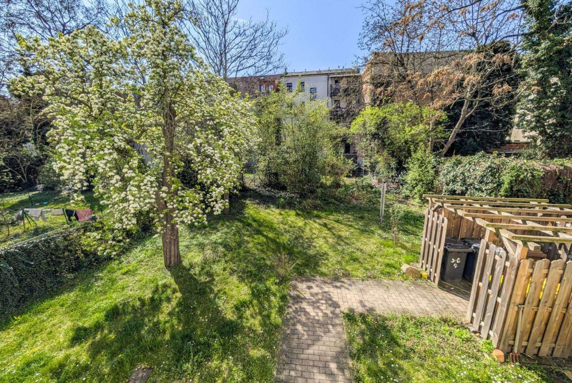 A sunny garden with blossoming trees, a green lawn, and a paved path leading toward a building in the background.