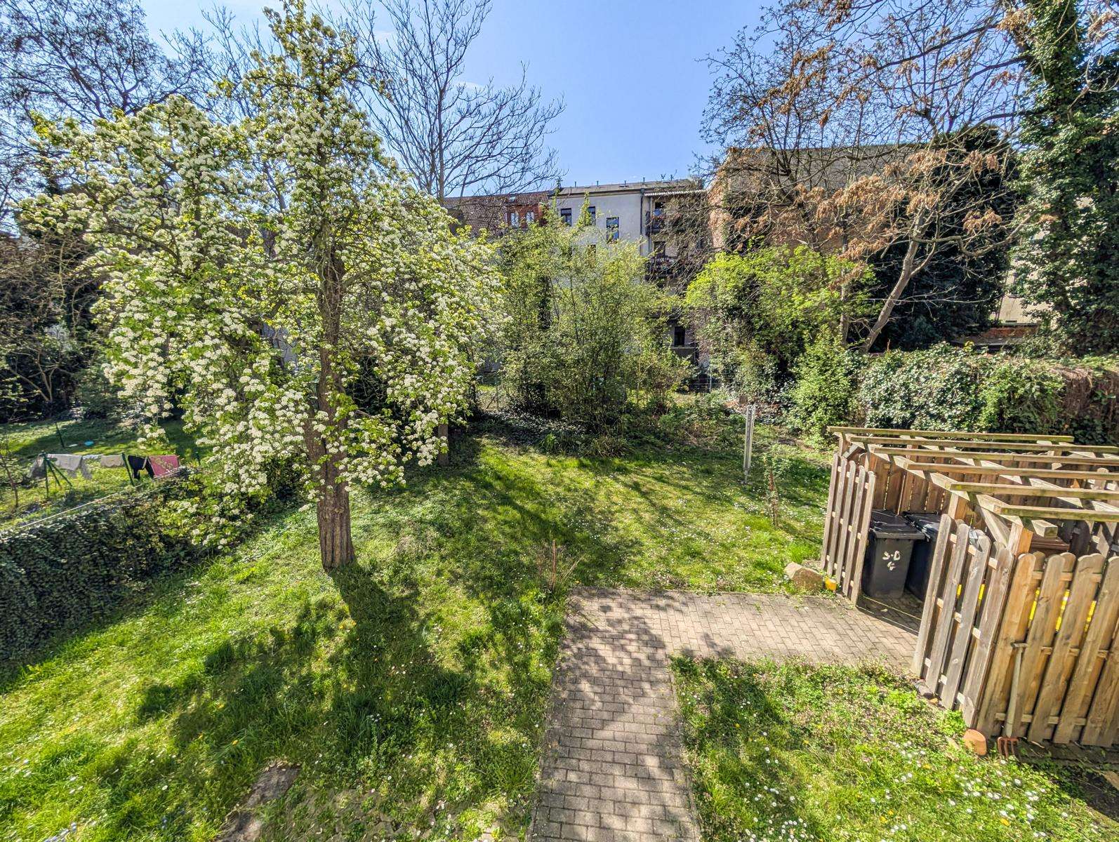 A sunny garden with blossoming trees, a green lawn, and a paved path leading toward a building in the background.