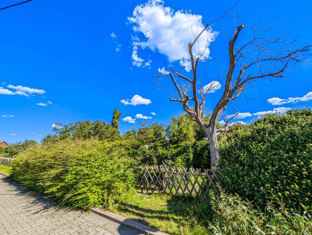 Garten gegenüber vom Haus