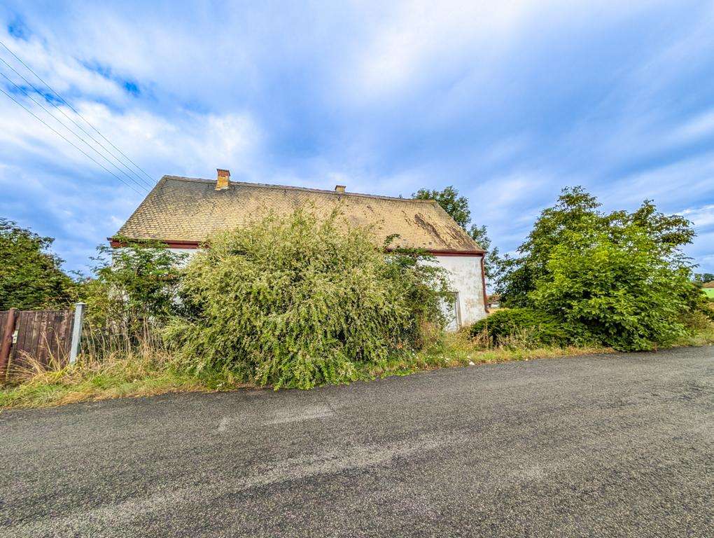 Old white house with a tiled sloped roof partially hidden by overgrown bushes along a paved road.