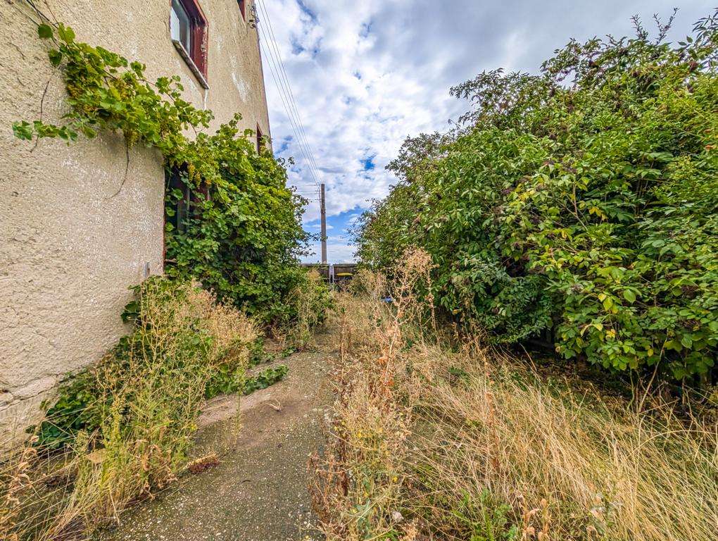 Overgrown path between a beige building wall and dense shrubs, with tall weeds and a blue sky overhead.
