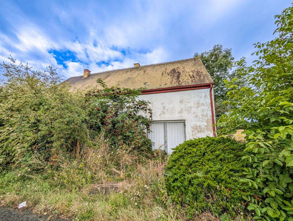 Abandoned house covered in overgrown shrubs and weeds, with a weathered white wall and a metal shutter door under a cloudy sky.