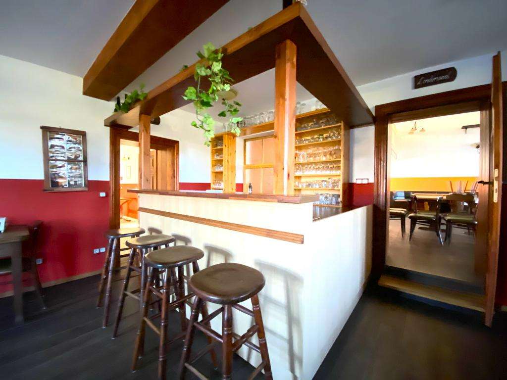 Wooden bar with stools and hanging plants, shelves of glasses behind it in a cozy dining area.