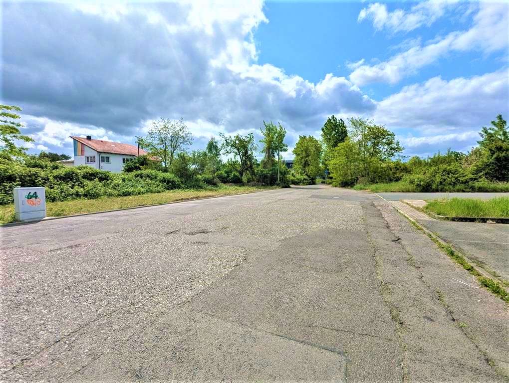 A quiet suburban street with cracked asphalt, bordered by green hedges and trees, and a white house on the left under a cloudy sky.
