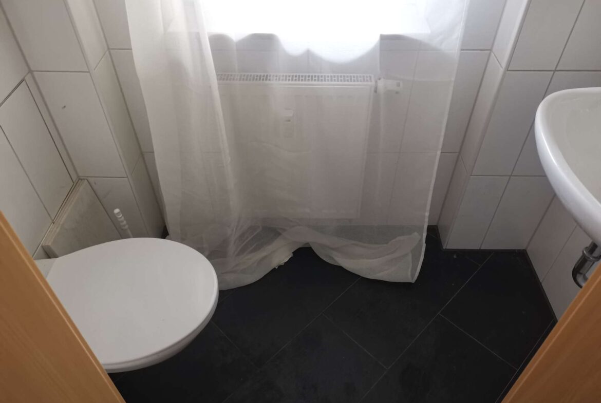 Small bathroom with a white toilet, shower curtain, and sink visible near the right; radiator behind the curtain doubles as a bathroom backdrop.