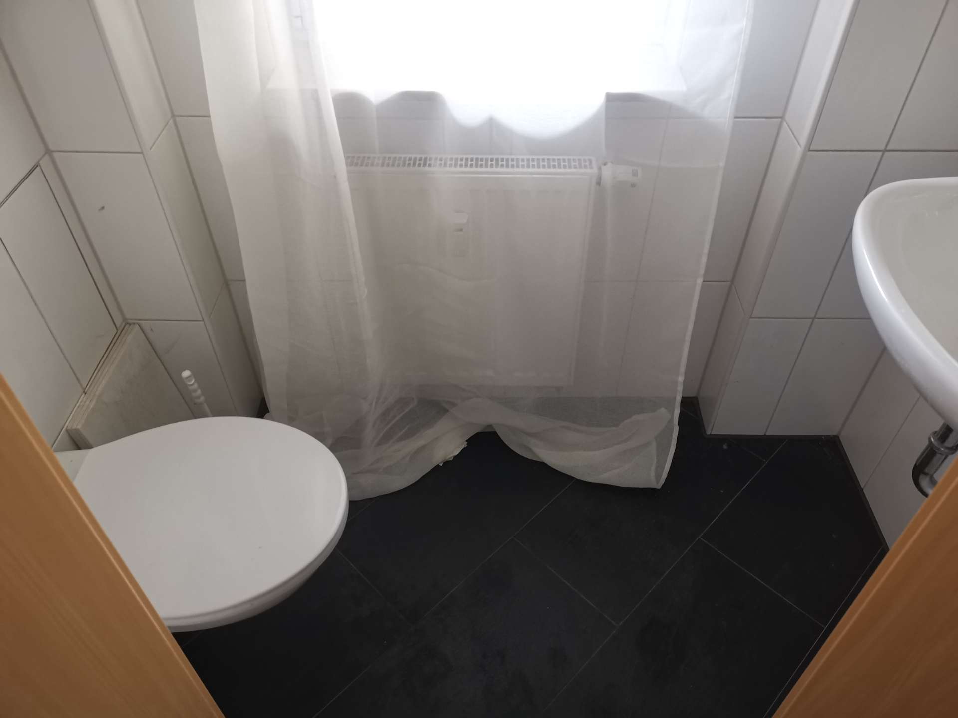 Small bathroom with a white toilet, shower curtain, and sink visible near the right; radiator behind the curtain doubles as a bathroom backdrop.