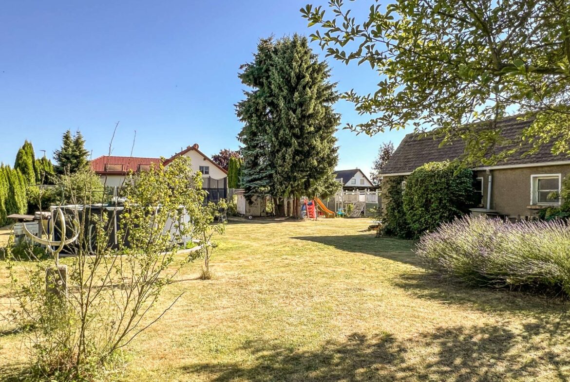 Sunny suburban backyard with a tall evergreen tree, playset and slide near mid-ground, and houses along the fence under a clear blue sky.