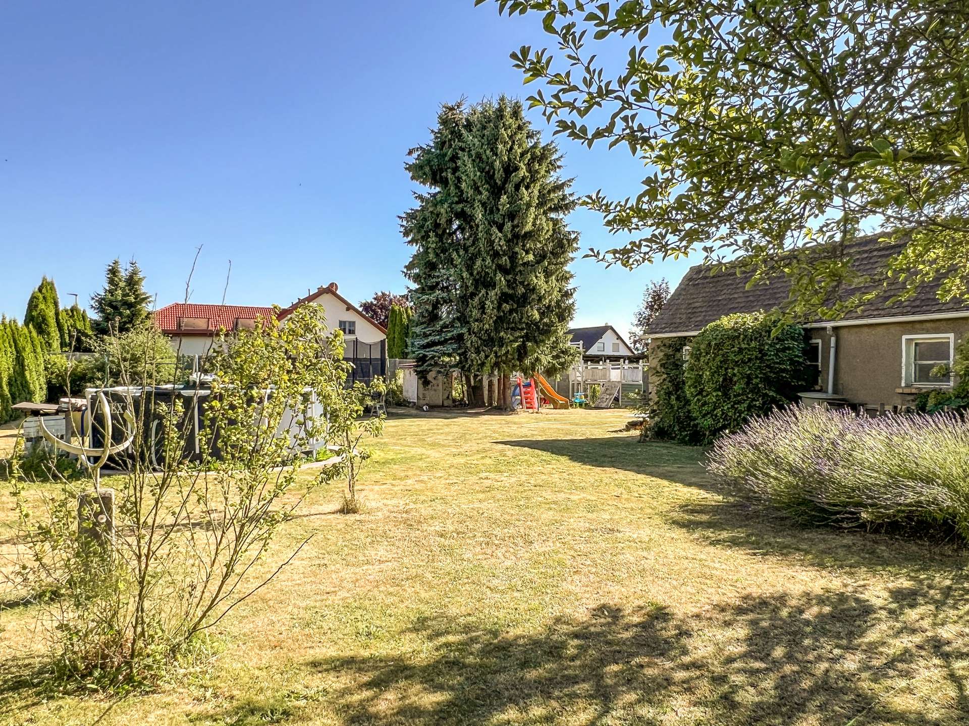 Sunny suburban backyard with a tall evergreen tree, playset and slide near mid-ground, and houses along the fence under a clear blue sky.
