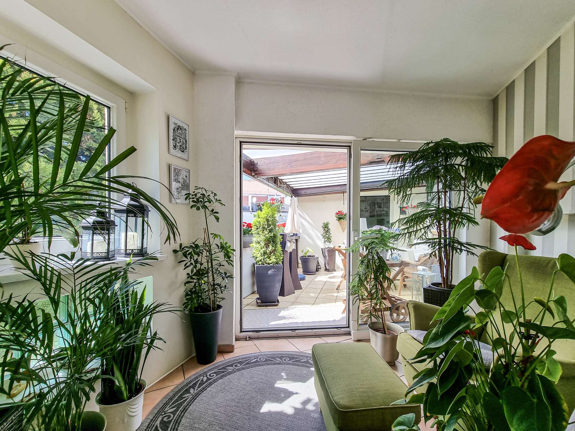 Sunlit living room filled with tall potted plants and a glass sliding door to an outdoor patio area.
