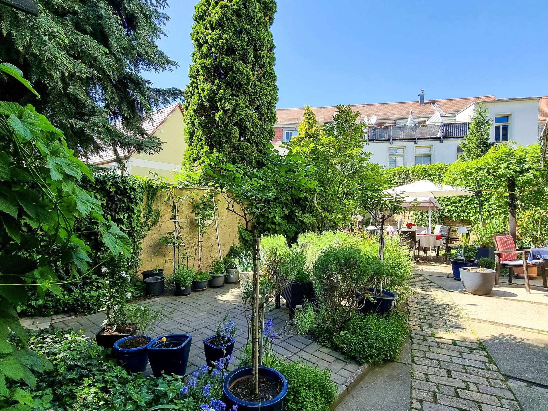Lush urban backyard courtyard with potted trees and seating area; apartment buildings in the background.