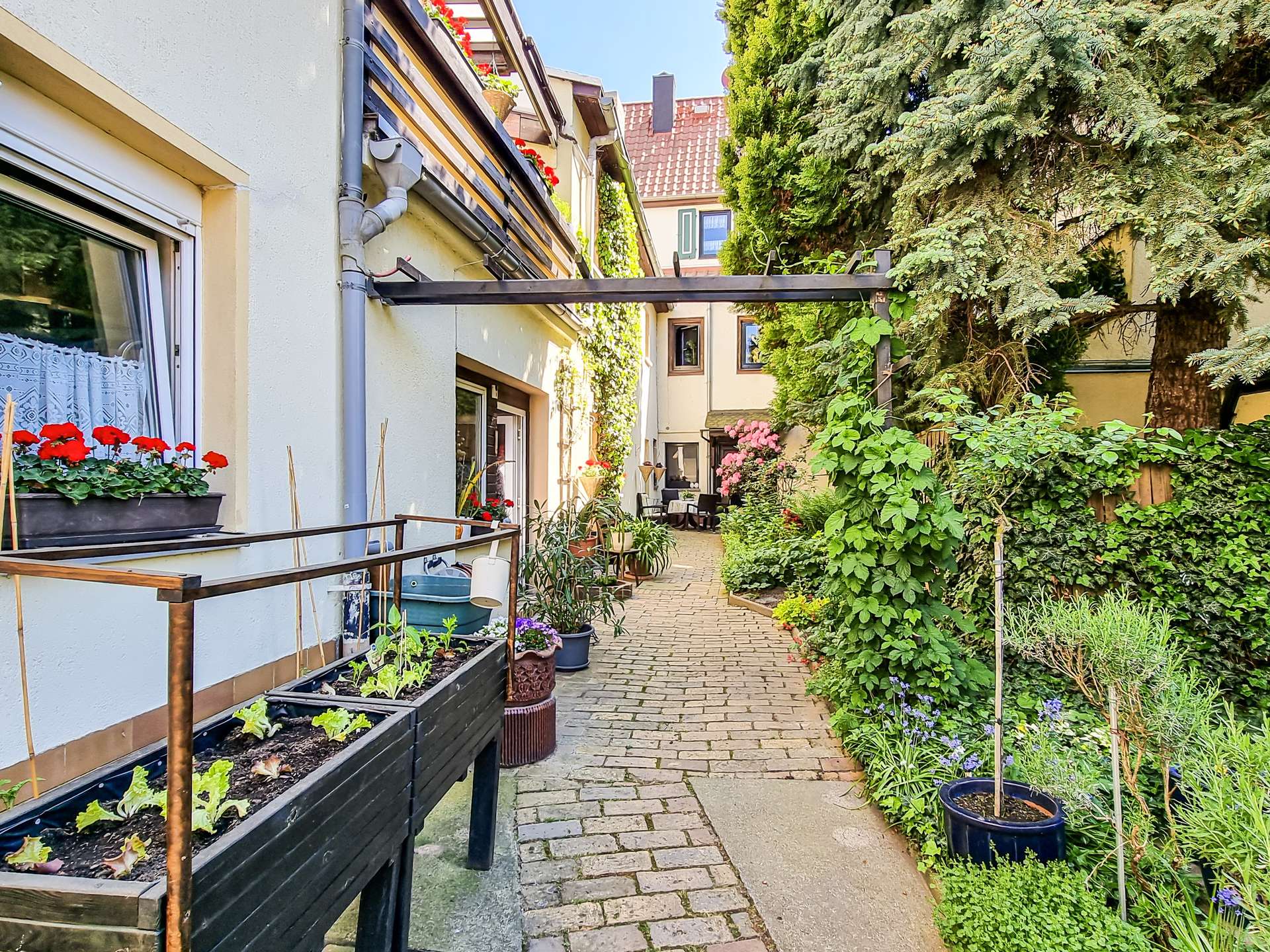 Narrow brick-paved alley between white houses with window boxes and abundant potted plants on both sides.
