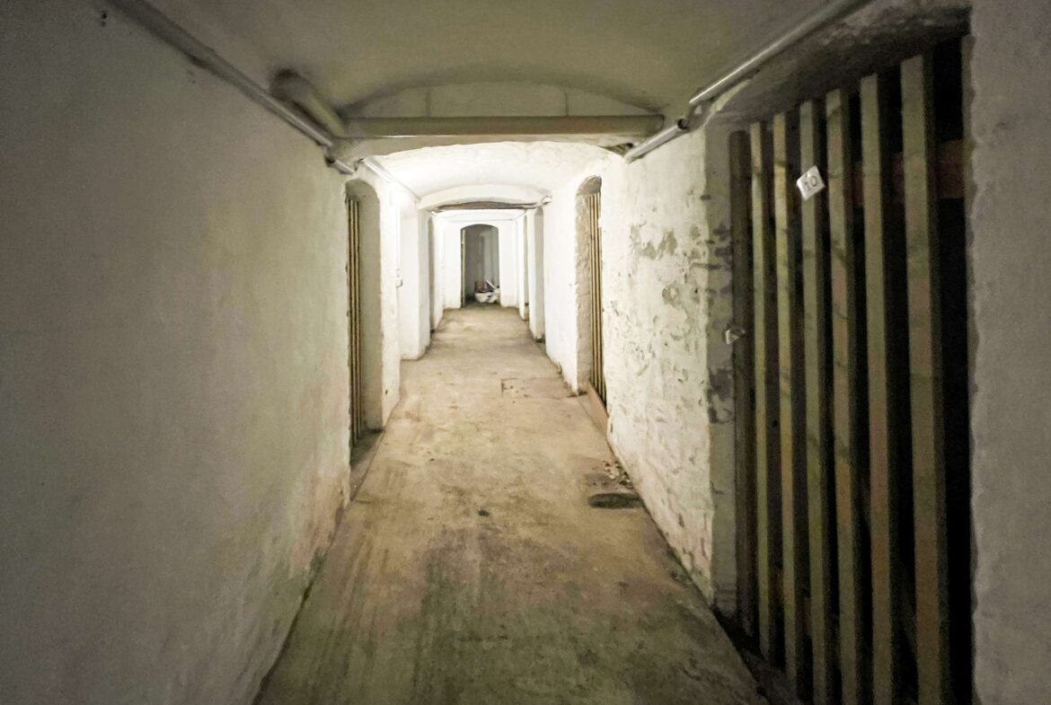 Dark basement corridor with arched ceiling, concrete walls, and barred cells on the right; long, narrow passage fading into the distance.