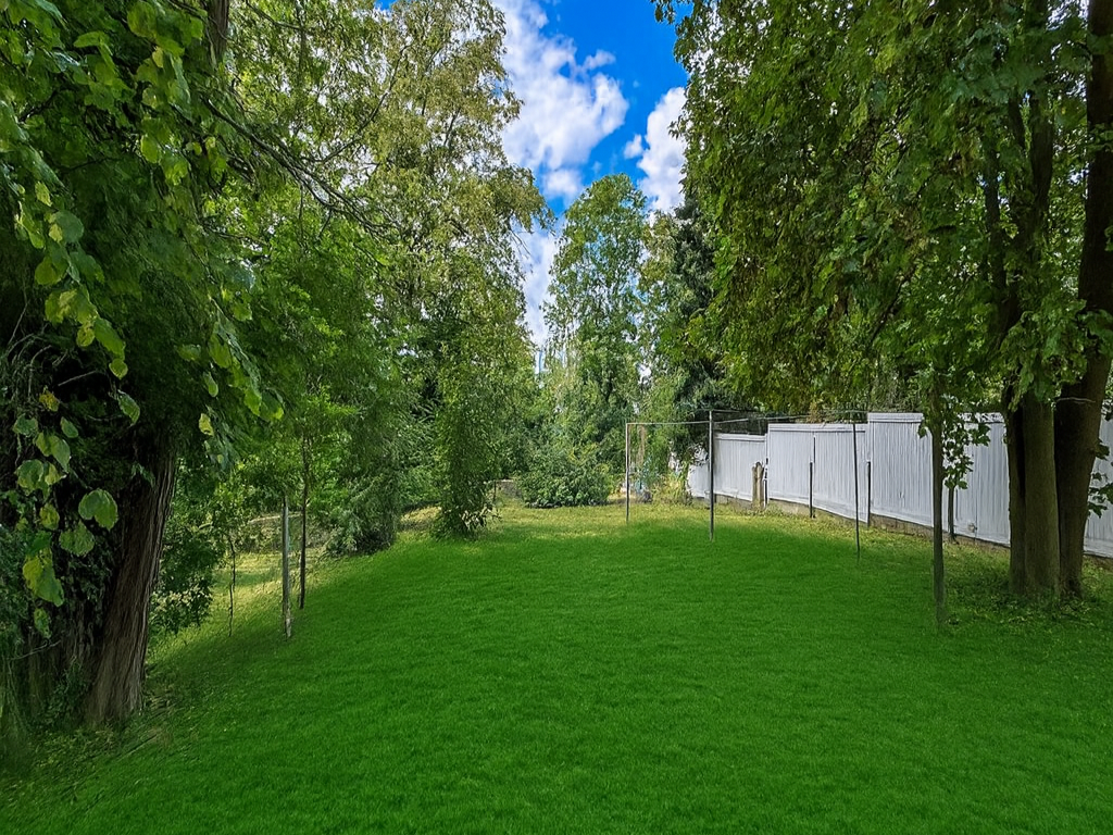 Sunlit backyard with a green lawn, trees lining both sides, and a white fence along the right under a blue sky with clouds.
