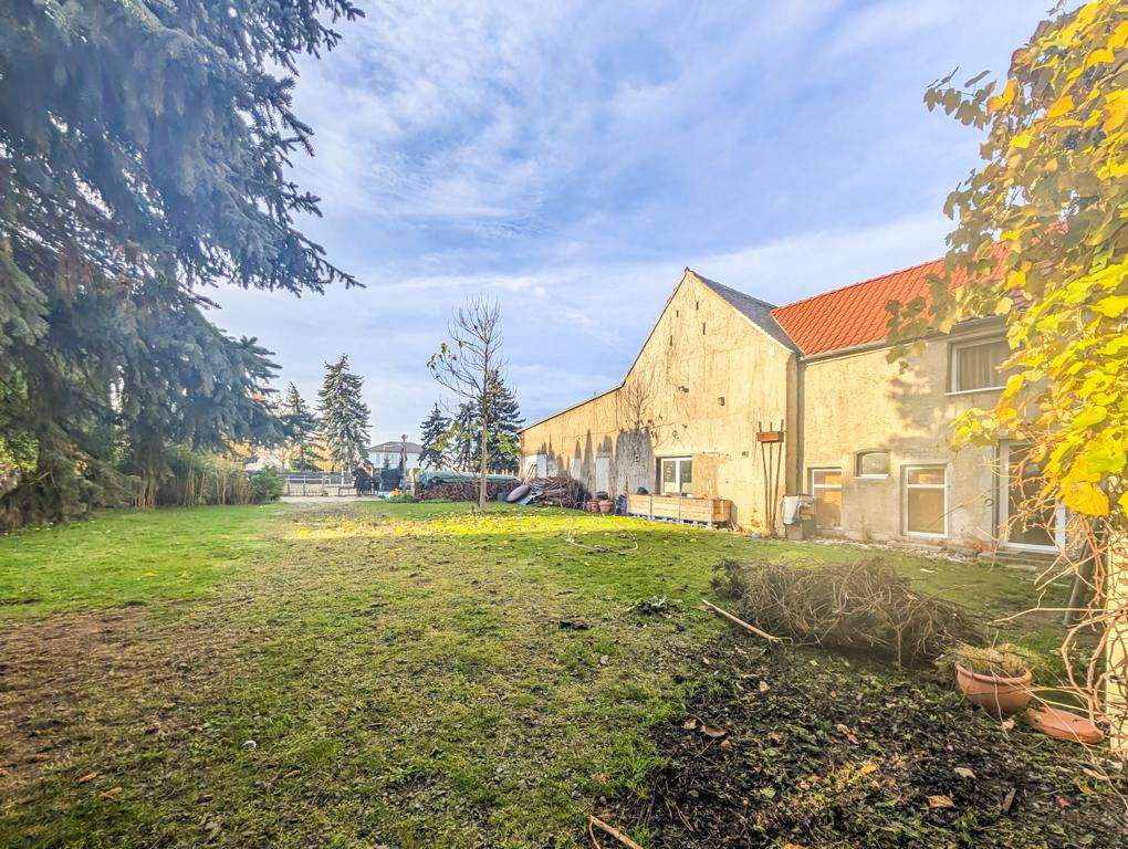 Sunlit backyard with a beige industrial building, red-tiled roof on the right, and tall evergreens along the left edge under a blue sky.
